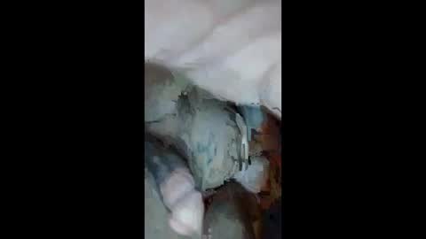 Aprilia online show from September 23, 2025, 10:51 am