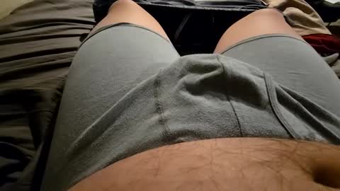 cumvet online show from September 30, 2025, 10:48 pm