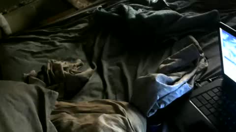 cumwith_me80 online show from May 8, 2026, 7:46 am