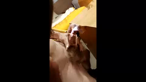 Snapshot of cunnemammaru chatting on December 16, 2025, 11:43 pm cunnemammaru online show from December 16, 2025, 11:43 pm