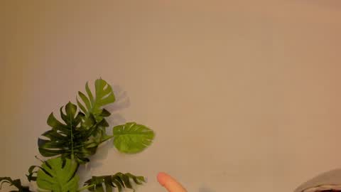 Snapshot of cute_ebonny chatting on January 22, 2025, 3:31 am Stacy online show from January 22, 2025, 3:31 am