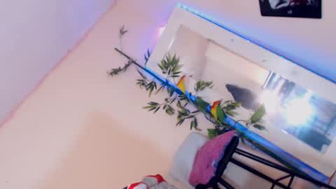 danny online show from December 17, 2024, 3:17 pm