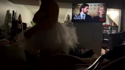 cutebananas online show from April 17, 2026, 9:23 am