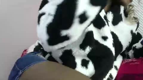 cutezola online show from March 27, 2026, 8:26 am