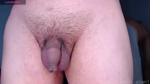 cyber online show from January 16, 2025, 1:58 pm