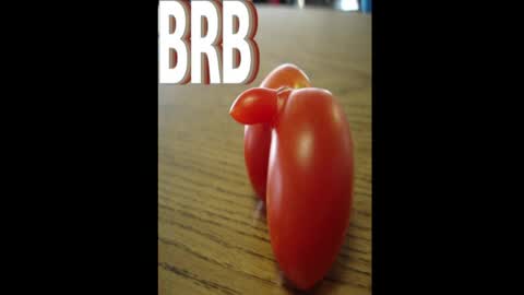 Dave online show from April 15, 2026, 4:19 am