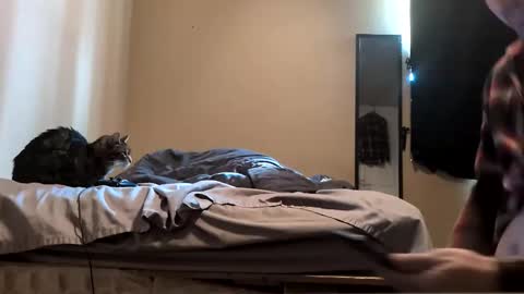 Snapshot of da_man411212 chatting on February 19, 2026, 10:06 pm da_man411212 online show from February 19, 2026, 10:06 pm