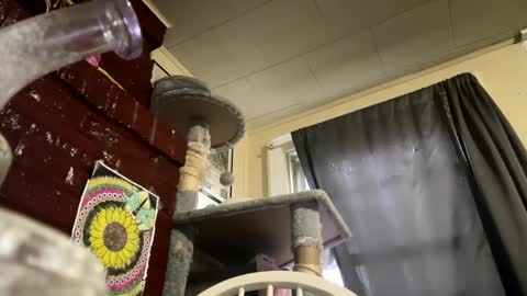 dabqueen_1994 online show from April 9, 2026, 11:59 am