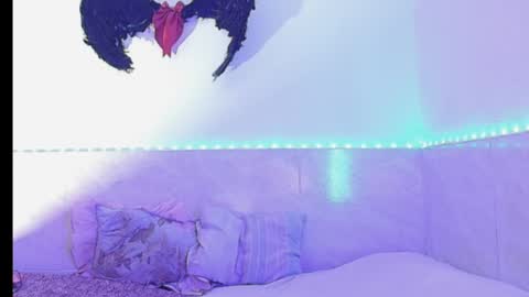 Snapshot of dabria_luxe chatting on June 5, 2026, 11:43 pm dabria_luxe online show from June 5, 2026, 11:43 pm