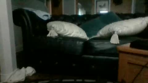 cumslutangel online show from September 17, 2025, 3:08 am