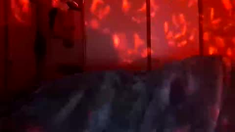 Snapshot of daddett chatting on December 18, 2025, 9:48 am Daddett iS Wett online show from December 18, 2025, 9:48 am