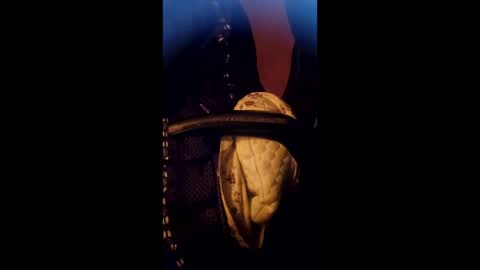 Snapshot of daddett chatting on March 17, 2026, 5:22 am Daddett iS Wett online show from March 17, 2026, 5:22 am