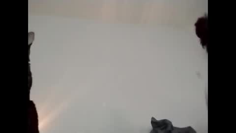 Snapshot of daddi_stick chatting on May 23, 2026, 8:35 pm daddi_stick online show from May 23, 2026, 8:35 pm