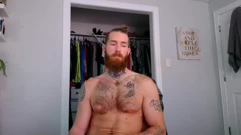 Snapshot of daddyafterdark1 chatting on June 10, 2026, 12:37 pm daddyafterdark1 online show from June 10, 2026, 12:37 pm