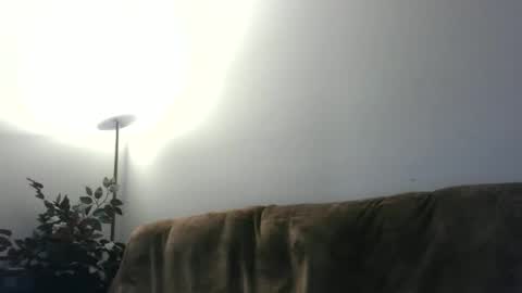 daddydave6400 online show from May 18, 2026, 3:46 am
