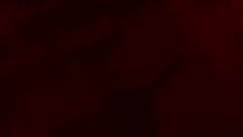 daddywhite88 online show from March 27, 2026, 5:24 am