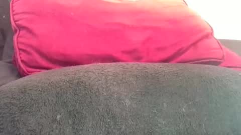 daddyy008 online show from November 7, 2025, 4:29 pm