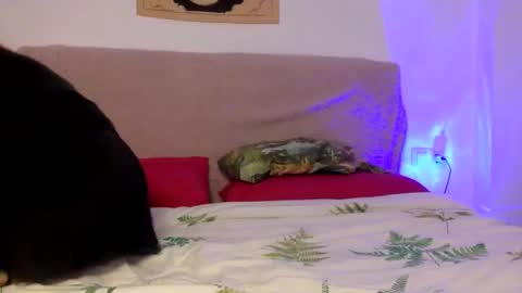 dafnesqueeze online show from January 7, 2025, 6:14 pm