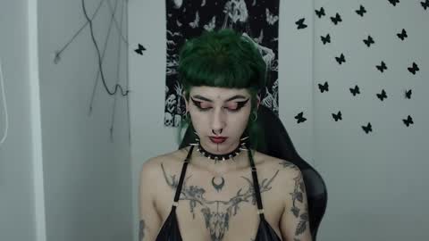 Snapshot of dakota_krall_ chatting on December 7, 2024, 5:48 am dakota online show from December 7, 2024, 5:48 am