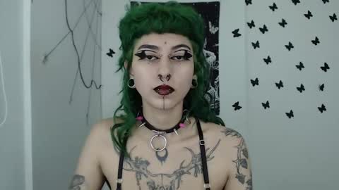 dakota online show from December 11, 2024, 2:52 am