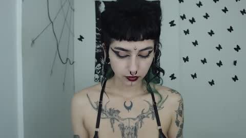 Snapshot of dakota_krall_ chatting on January 14, 2025, 10:48 am dakota online show from January 14, 2025, 10:48 am