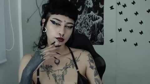 Snapshot of dakota_krall_ chatting on January 29, 2025, 4:47 am dakota online show from January 29, 2025, 4:47 am