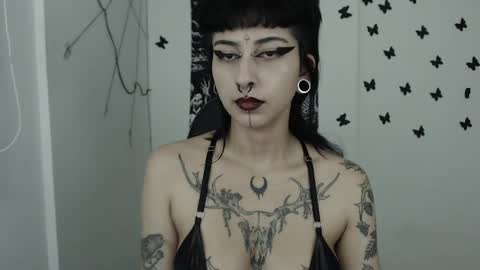 Snapshot of dakota_krall_ chatting on February 13, 2025, 5:48 am dakota online show from February 13, 2025, 5:48 am