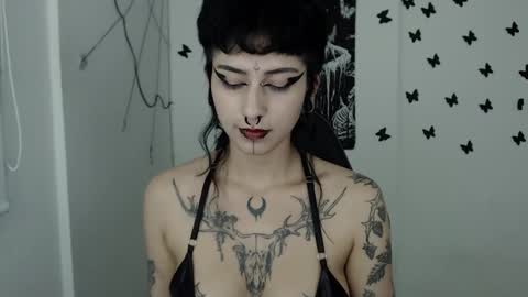 Snapshot of dakota_krall_ chatting on February 15, 2025, 5:51 am dakota online show from February 15, 2025, 5:51 am