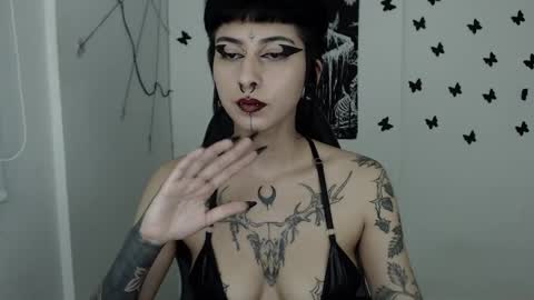 Snapshot of dakota_krall_ chatting on February 26, 2025, 6:37 am dakota online show from February 26, 2025, 6:37 am