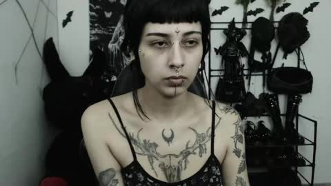 Snapshot of dakota_krall_ chatting on May 4, 2026, 3:02 am dakota online show from May 4, 2026, 3:02 am