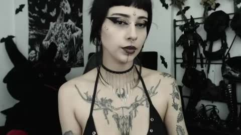 dakota online show from July 4, 2026, 2:29 am