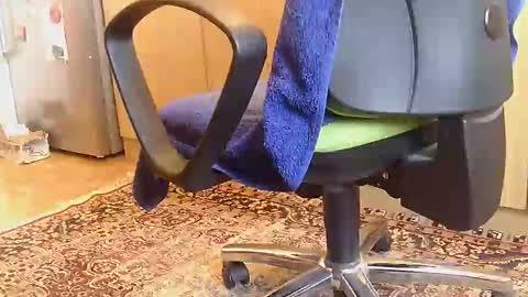 Dammerl online show from February 18, 2025, 6:59 am