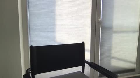 Snapshot of dan295899 chatting on March 23, 2026, 7:56 am dan295899 online show from March 23, 2026, 7:56 am