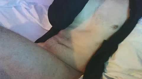 Snapshot of dan567y chatting on February 28, 2025, 5:59 am dan567y online show from February 28, 2025, 5:59 am