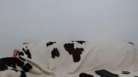 Snapshot of dan_jonson15 chatting on November 26, 2025, 6:31 pm dan_jonson15 online show from November 26, 2025, 6:31 pm