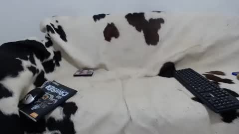 Snapshot of dan_jonson15 chatting on November 27, 2025, 6:43 pm dan_jonson15 online show from November 27, 2025, 6:43 pm