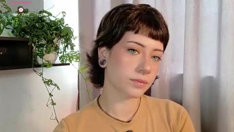 Snapshot of dan_universe chatting on November 16, 2025, 6:24 pm Bluemoon online show from November 16, 2025, 6:24 pm