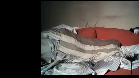 dane1982 online show from January 1, 2025, 4:39 pm