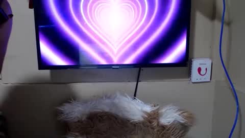 Snapshot of danica_wild chatting on May 15, 2026, 11:12 pm Danica online show from May 15, 2026, 11:12 pm