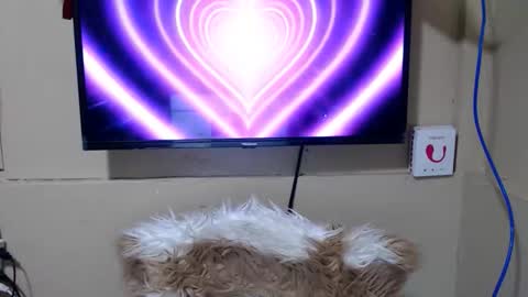 Snapshot of danica_wild chatting on May 15, 2026, 11:34 pm Danica online show from May 15, 2026, 11:34 pm
