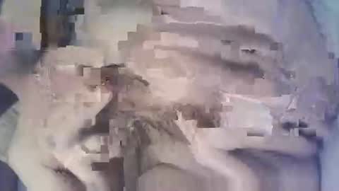 daniel12123611503 online show from December 20, 2025, 5:03 am