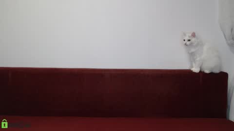 Snapshot of daniel_padalecki chatting on November 17, 2025, 6:24 pm Daniel online show from November 17, 2025, 6:24 pm