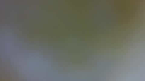 Snapshot of daniela_sexy34 chatting on January 16, 2025, 4:50 pm daniela_sexy34 online show from January 16, 2025, 4:50 pm