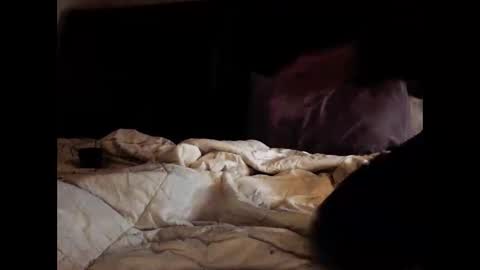 Snapshot of daniellbisous chatting on February 11, 2026, 6:29 am daniellbisous online show from February 11, 2026, 6:29 am