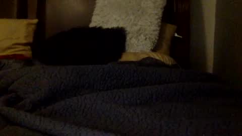 daniellbisous online show from July 1, 2026, 5:31 am