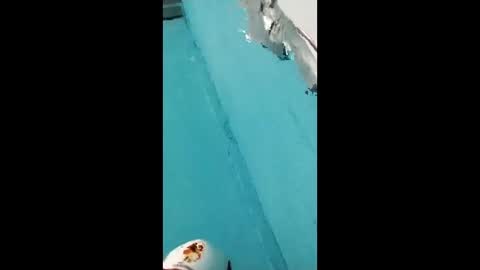 danipas_30 online show from February 12, 2026, 5:57 am