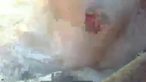 Snapshot of dankz4two0 chatting on January 11, 2025, 3:09 pm dankz4two0 online show from January 11, 2025, 3:09 pm