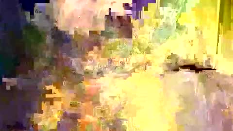 dano9696 online show from December 5, 2025, 6:22 am