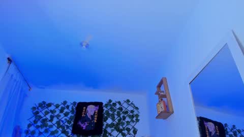 dante_cooper_0 online show from December 12, 2024, 8:14 am