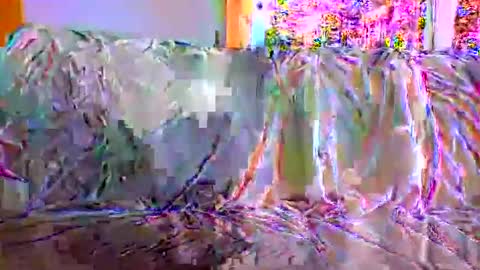 danwick69 online show from September 17, 2025, 11:45 am